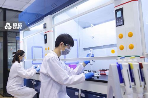 微譜科技 以數據智能驅動教學設備研發，助力國產PD-1新藥獲批上市